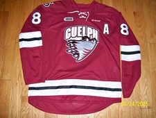 Guelph storm drew for sale  Niagara Falls