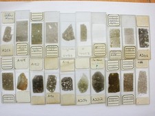Vintage microscope slides. for sale  LEDBURY