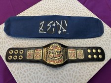 Wwe mini replica for sale  Saint Paul