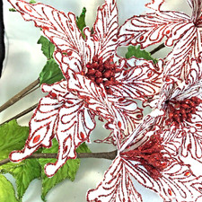 Set sparkling red for sale  East Wenatchee