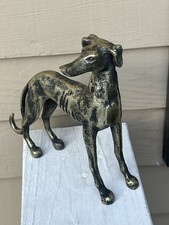 Greyhound whippet dog for sale  Framingham