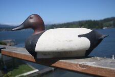 Canvasback drake decoy for sale  Lincoln City