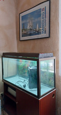 200 komplett aquarium gebraucht kaufen  Deutschland