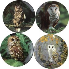 Limited edition owl for sale  UK