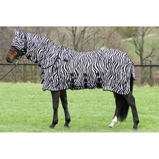 Euroriding fliegendecke zebra gebraucht kaufen  Diemelstadt