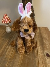 Brown fluffy dog for sale  NOTTINGHAM