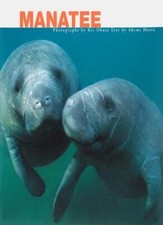 Manatee akemi hotta for sale Manatee akemi hotta for sale  UK