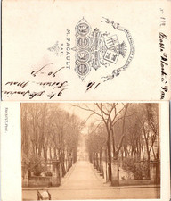 Pacault, Pau, Basse Plante Vintage CDV albumen carte de visite -  CDV, tirage  comprar usado  Enviando para Brazil
