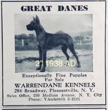 1938 warrendane kennels for sale  Brooklyn