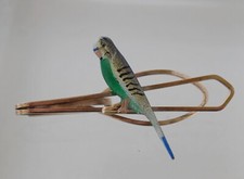 budgie parakeet for sale budgie parakeet for sale SELBY