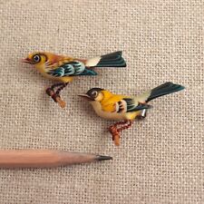 Pair takahashi bird for sale  Oak View