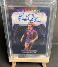 Panini bsidian bernd gebraucht kaufen  Halle