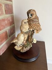 border fine arts owl for sale border fine arts owl for sale SOUTHMINSTER
