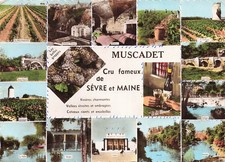 Nantes muscadet usato Nantes muscadet usato  Spedire a Italy