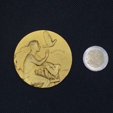Médaille métal vieux d'occasion  France