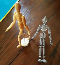 artist mannequin for sale artist mannequin for sale Bella Vista