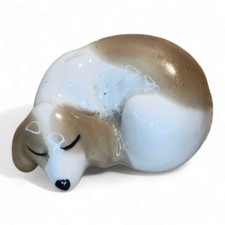 Szeiler puppy dog for sale  WOLVERHAMPTON