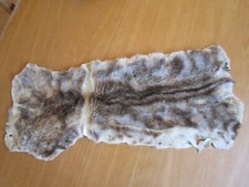 Tierfell rheuma marder gebraucht kaufen  Eislingen/Fils