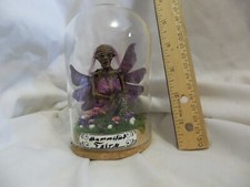 Mummified purple dead for sale  Payson