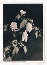 Deutsch stafrika postkarte gebraucht kaufen  Elz