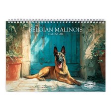 Belgian malinois 2026 d'occasion  Expédié en Belgium