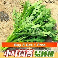 200x crown daisy for sale  LANCASTER