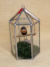 Kleiner vogelkäfig papagei gebraucht kaufen Kleiner vogelkäfig papagei gebraucht kaufen  Offenburg