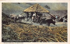 UM ANTIGO MOINHO DE CANA NO CARRO POSTAL DE PORTO RICO (1909) comprar usado  Enviando para Brazil