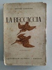 Ettore garavini beccaccia usato  Vittorio Veneto