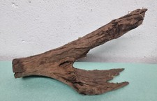 Wuzel aquarium deko gebraucht kaufen  Kleve