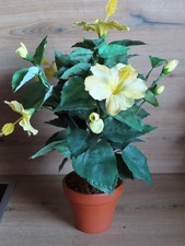 Hibiskus kunstpflanze topf gebraucht kaufen  Altmannstein