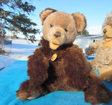 Vintage steiff teddy for sale  International Falls