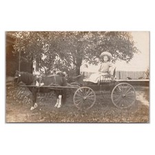 Girl riding pony for sale  Portland