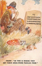 Carte postale galles d'occasion Carte postale galles d'occasion  Expédié en France