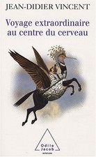 Voyage extraordinaire centre d'occasion  Corbeil-Essonnes