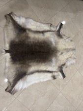 reindeer hide for sale reindeer hide for sale Whitestone