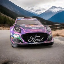 Ford puma rally gebraucht kaufen  Regenstauf