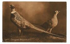 Birds postcard oregon for sale  USA