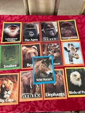 Zoo books 1980s for sale  Wynnewood