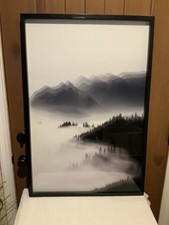 Morning sun black for sale  Lakeside