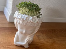 Vaso busto bambina usato  Torre di Mosto