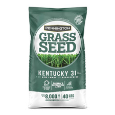 Kentucky tall fescue for sale  Los Angeles