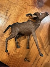 Victorian antique taxidermy for sale  Stoughton