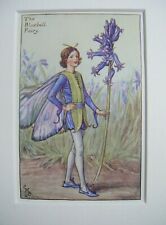 Bluebell fairy vintage for sale  TELFORD
