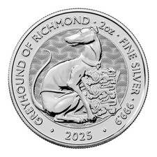 Pounds 2025 greyhound gebraucht kaufen  Borgholzhausen