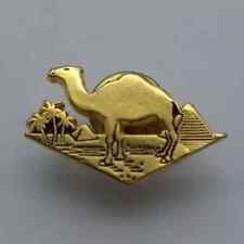 Egyptian desert camel for sale  LONDONDERRY