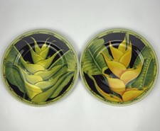 Siddhia hutchinson heliconia for sale  Columbus