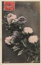 Bon fete bouquet d'occasion  Expédié en Belgium