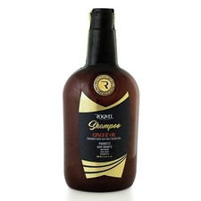 Ingwer shampoo 750ml gebraucht kaufen  Rottenburg a.d.Laaber