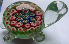 Tortue verre dit d'occasion  Rochefort